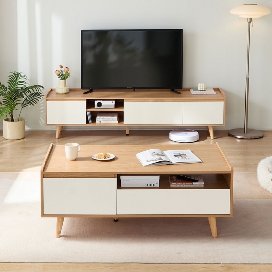 Modern TV Stand & Entertainment Center in Wood